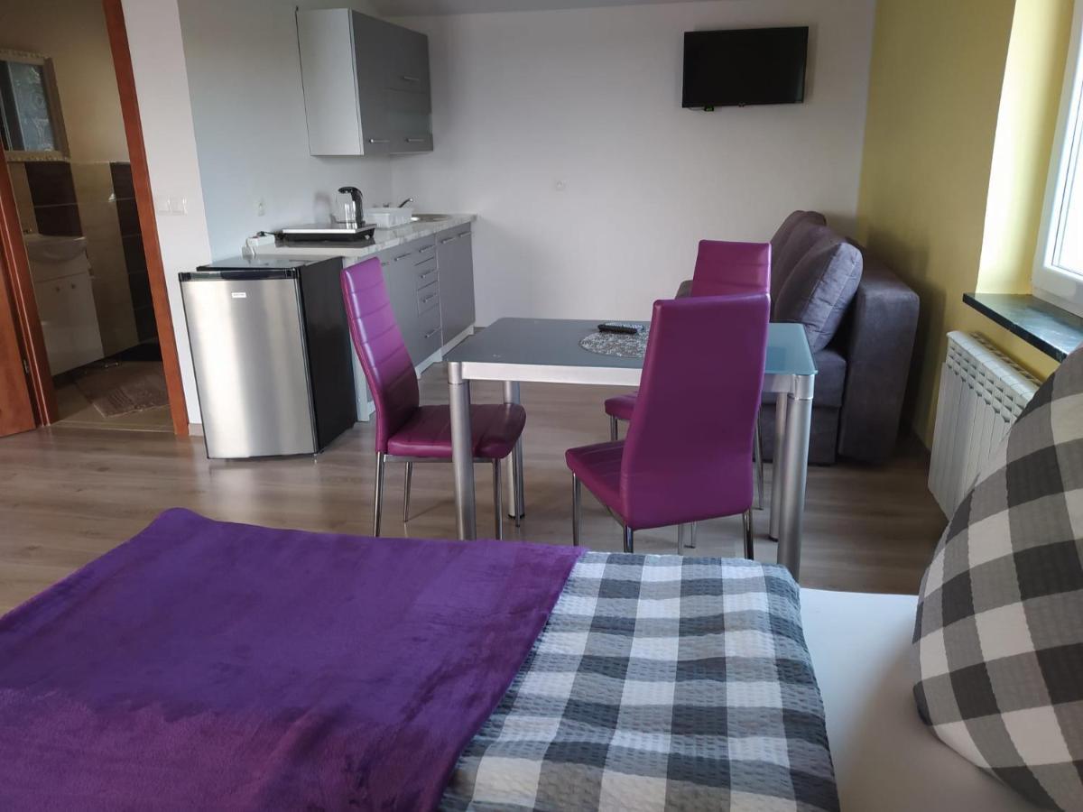Mocik Apartment Jastrzebia Gora Exterior photo
