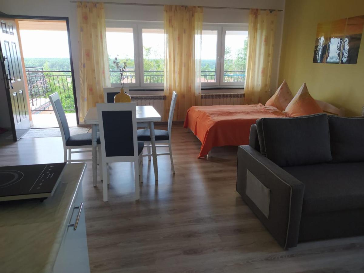 Mocik Apartment Jastrzebia Gora Exterior photo